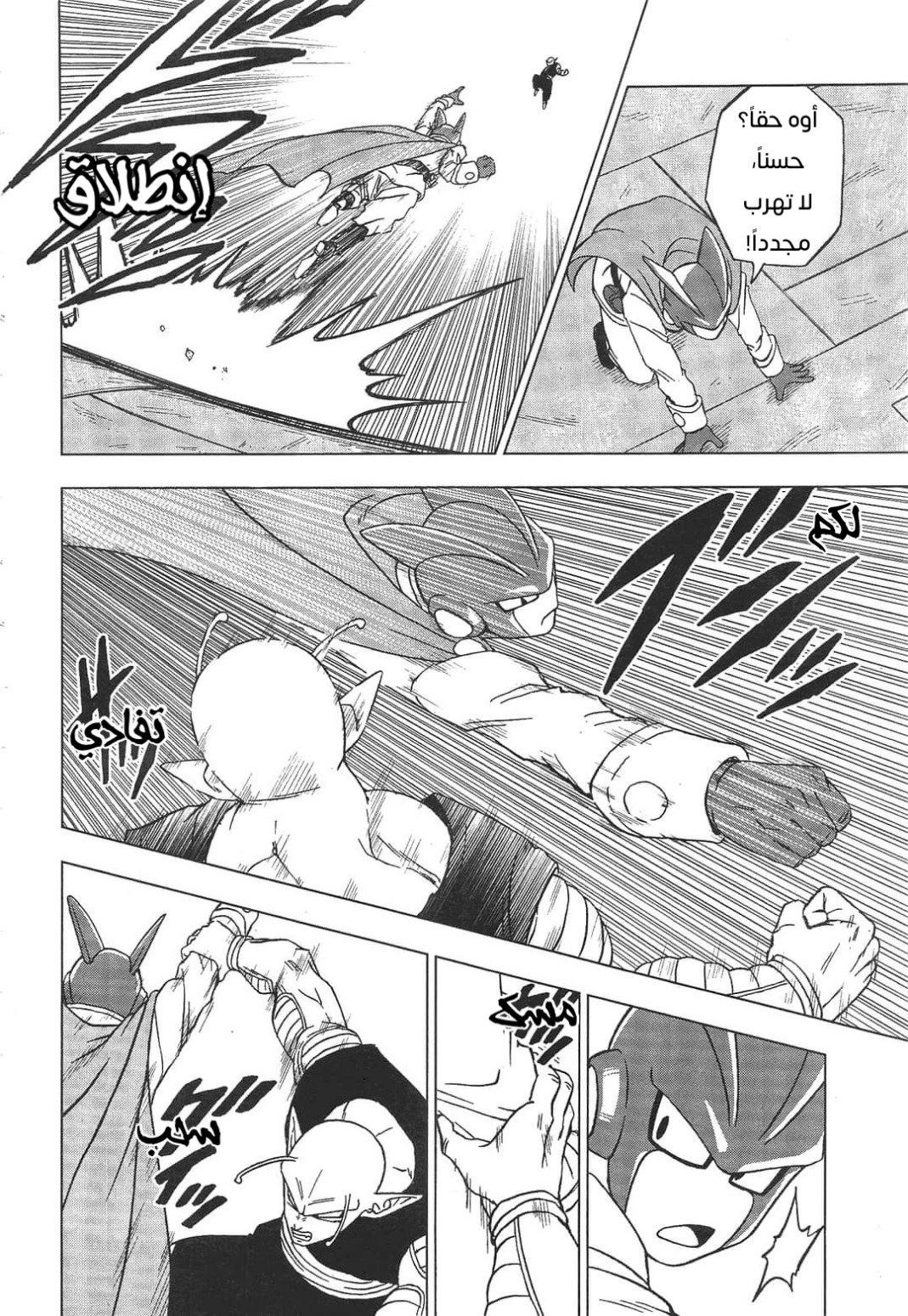 Dragon Ball Super: Chapter 95 - Page 14