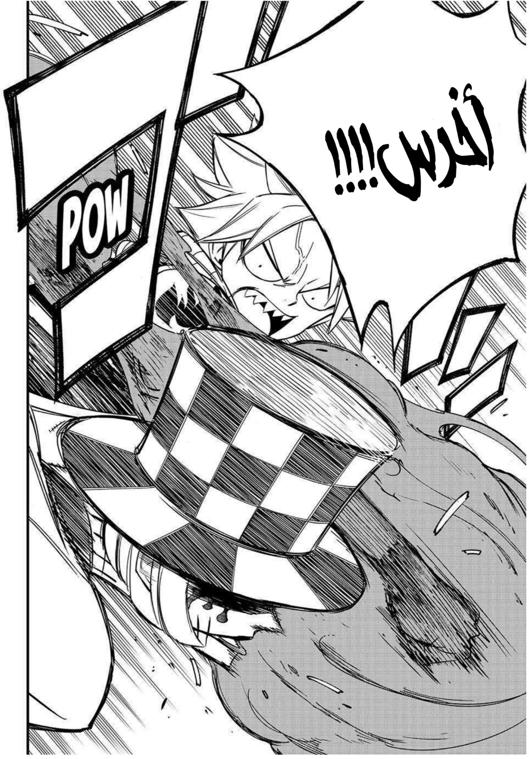 Fairy Tail 100 Years Quest: Chapter 157 - Page 13