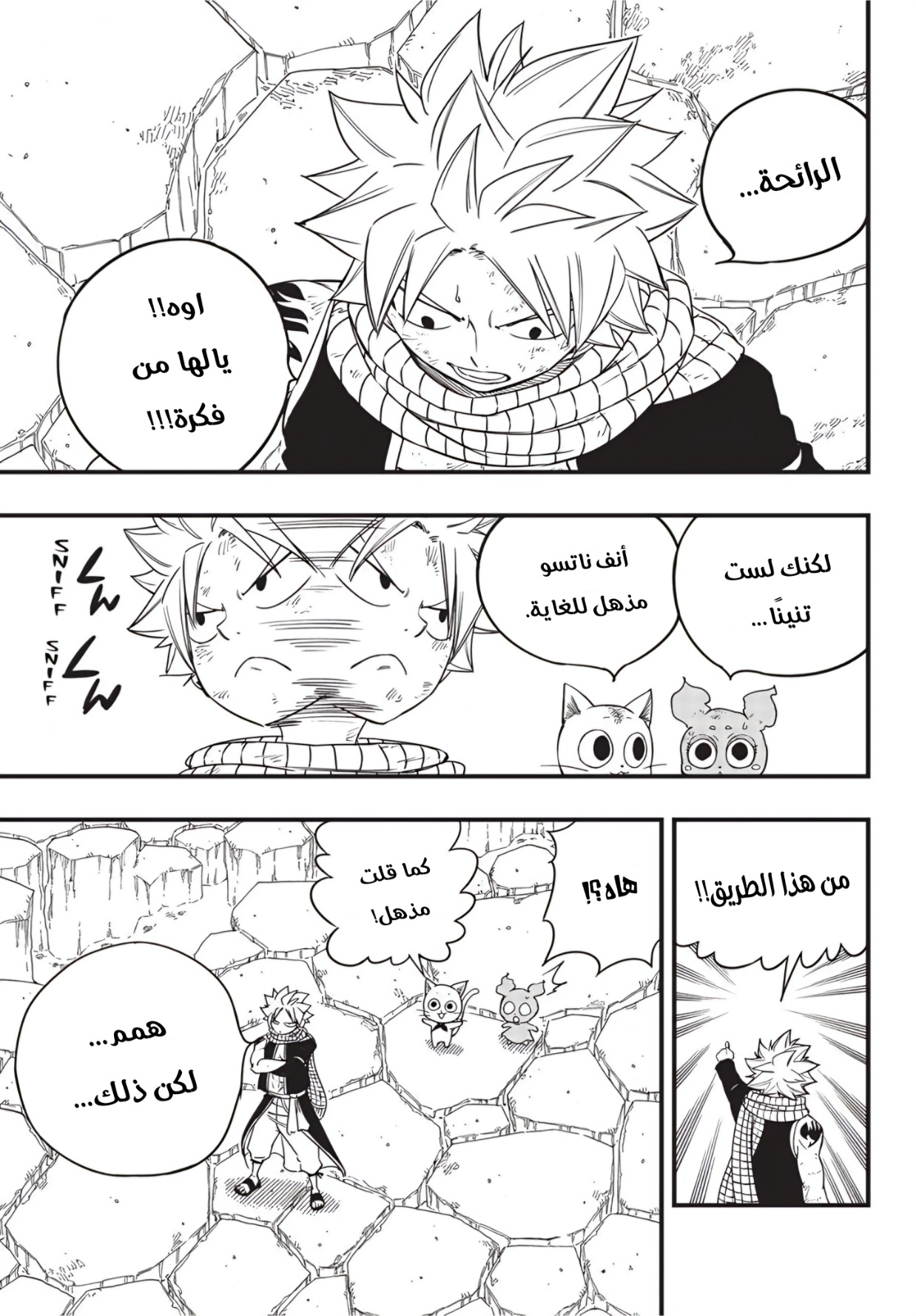 Fairy Tail 100 Years Quest: Chapter 172 - Page 19