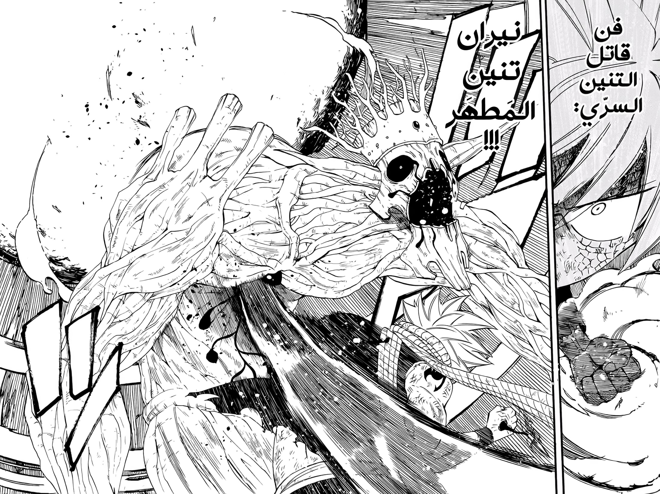 Fairy Tail 100 Years Quest: Chapter 62 - Page 16