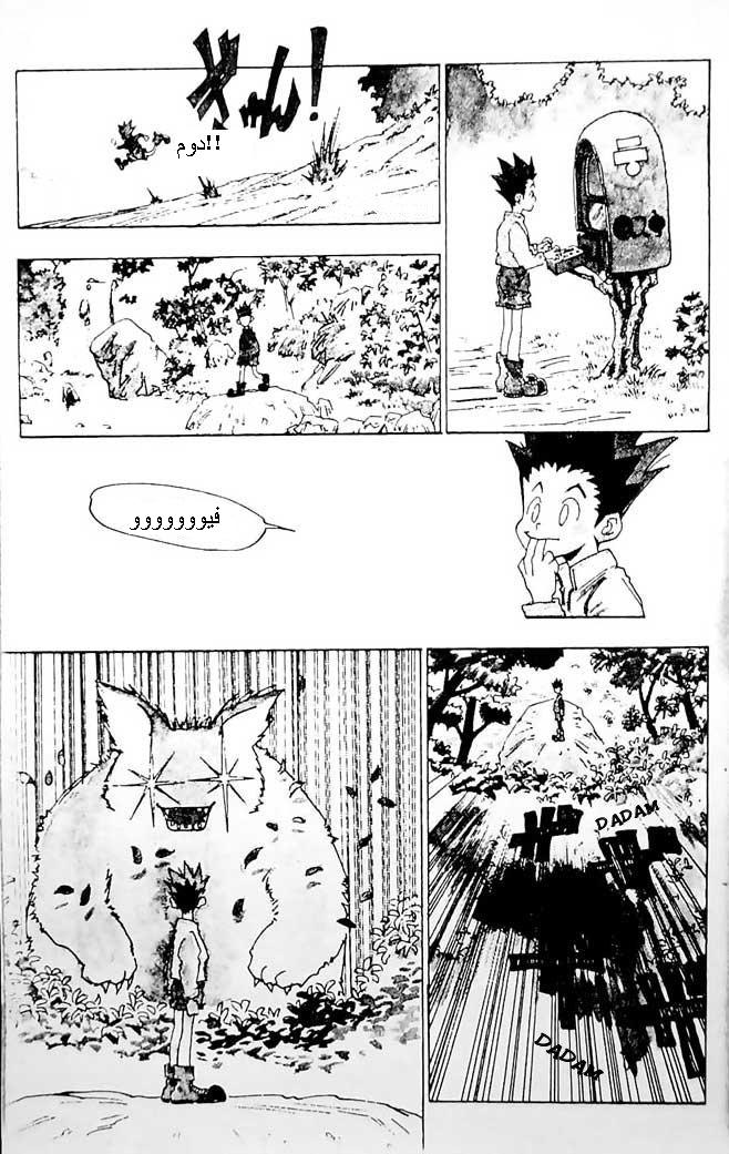 Hunter x Hunter: Chapter 1 - Page 12
