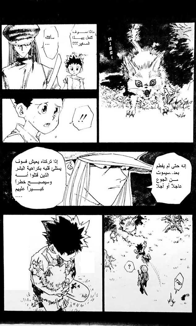Hunter x Hunter: Chapter 1 - Page 19