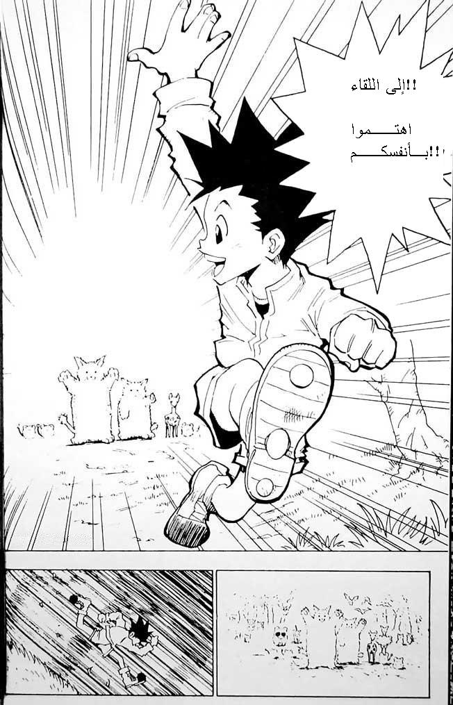 Hunter x Hunter: Chapter 1 - Page 25