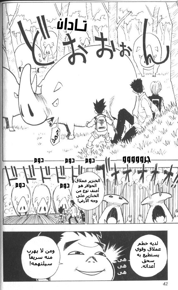 Hunter x Hunter: Chapter 10 - Page 19