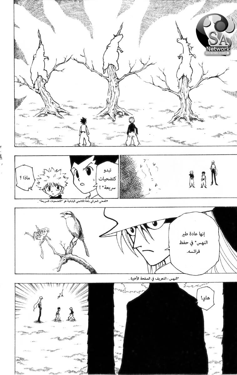 Hunter x Hunter: Chapter 191 - Page 3