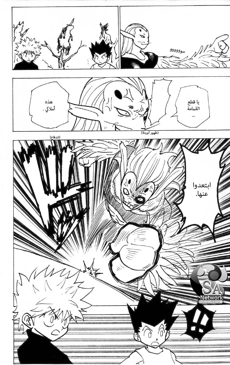 Hunter x Hunter: Chapter 191 - Page 5