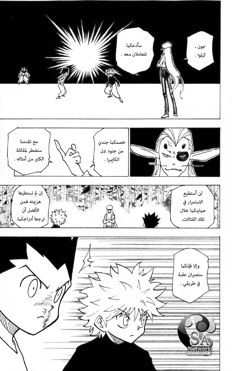 Hunter x Hunter: Chapter 191 - Page 8