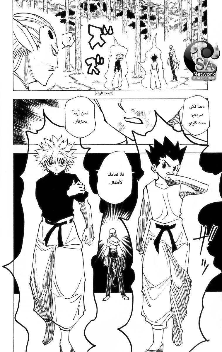 Hunter x Hunter: Chapter 191 - Page 9