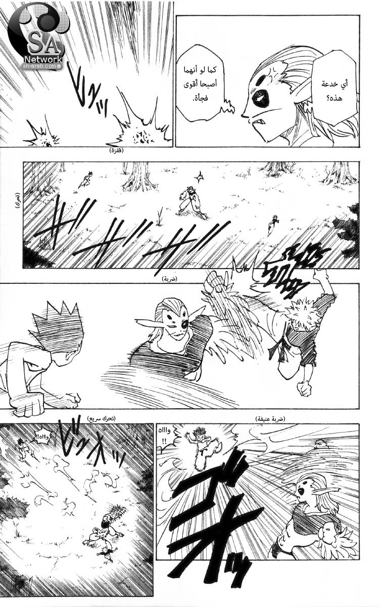 Hunter x Hunter: Chapter 191 - Page 10