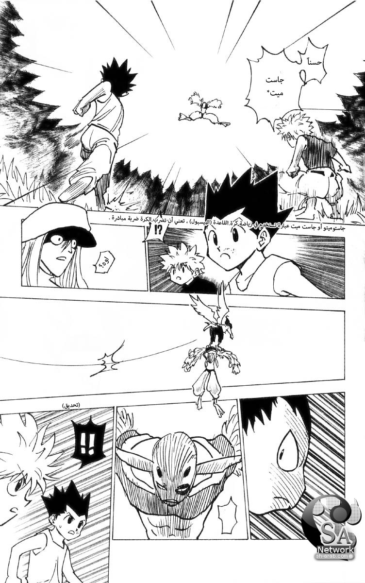 Hunter x Hunter: Chapter 191 - Page 14