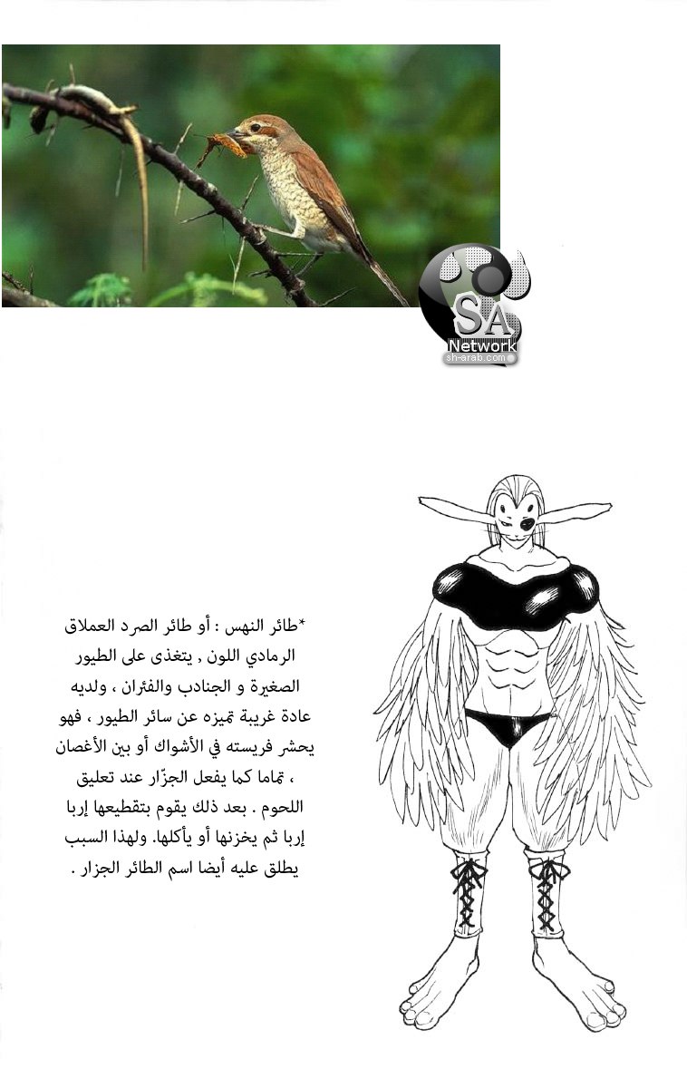 Hunter x Hunter: Chapter 191 - Page 18