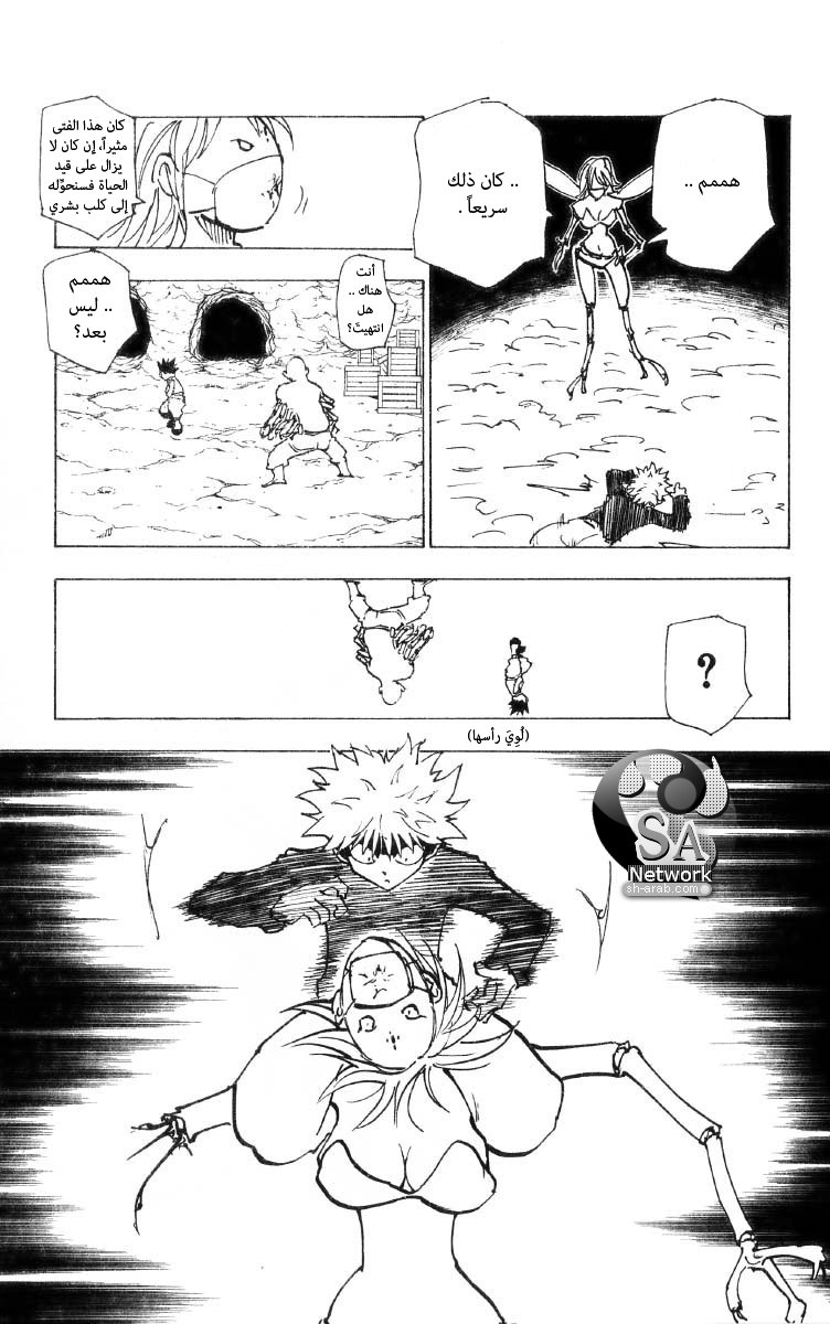 Hunter x Hunter: Chapter 193 - Page 8