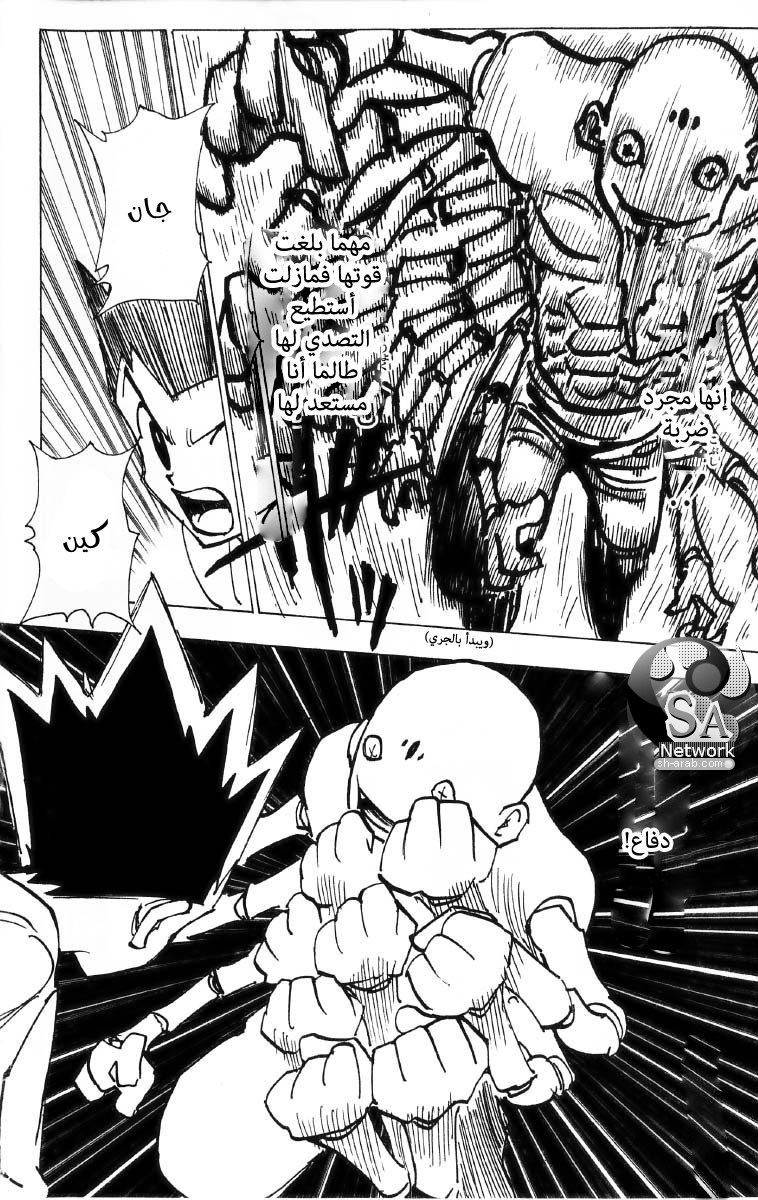 Hunter x Hunter: Chapter 193 - Page 11