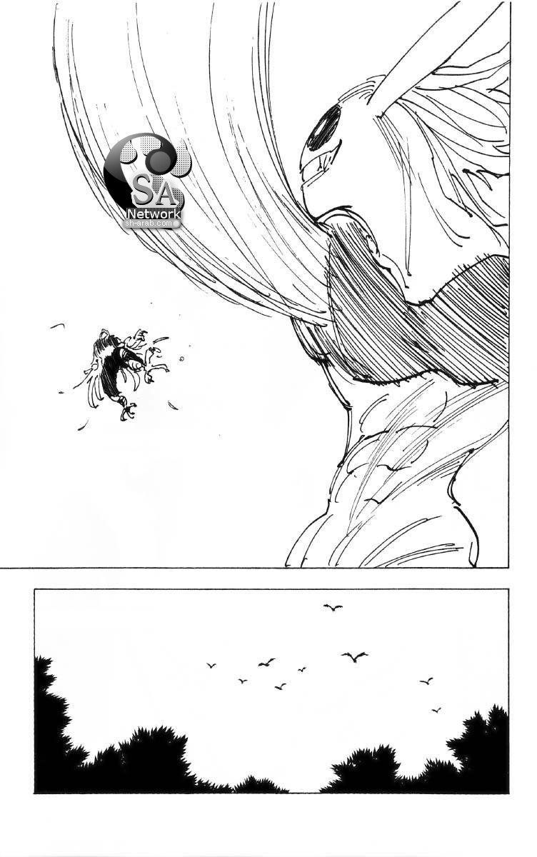 Hunter x Hunter: Chapter 194 - Page 11