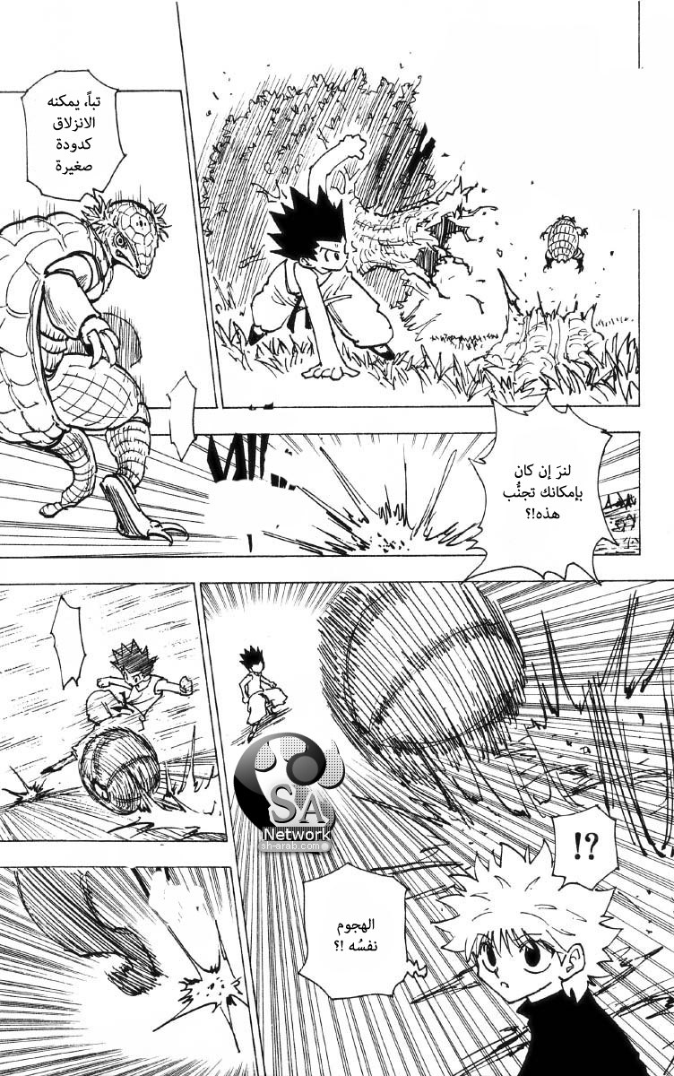 Hunter x Hunter: Chapter 195 - Page 7