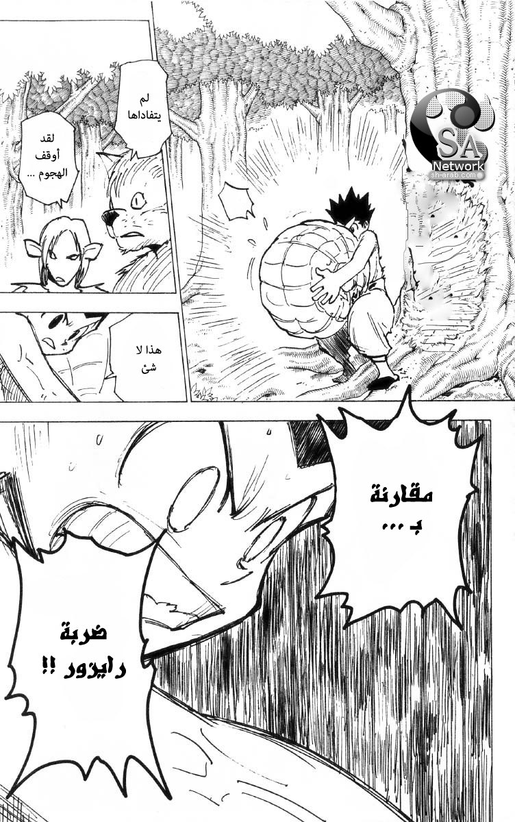 Hunter x Hunter: Chapter 195 - Page 13