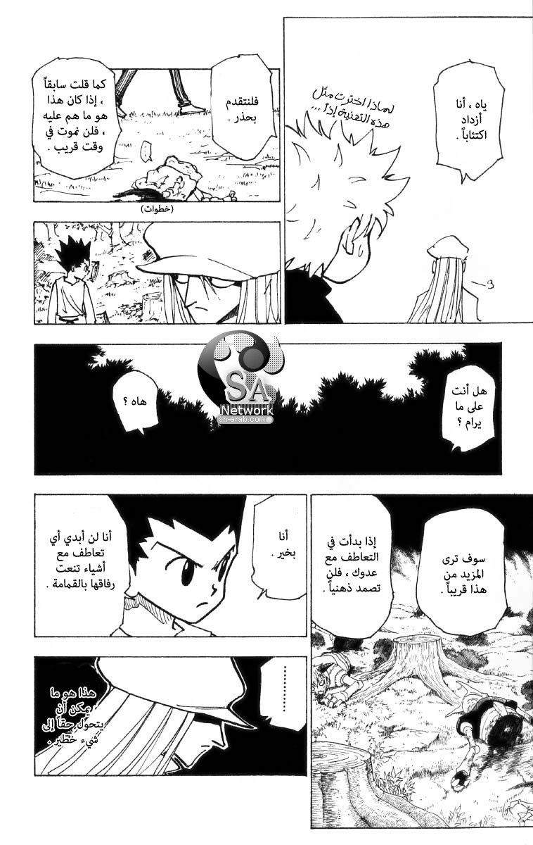 Hunter x Hunter: Chapter 196 - Page 13