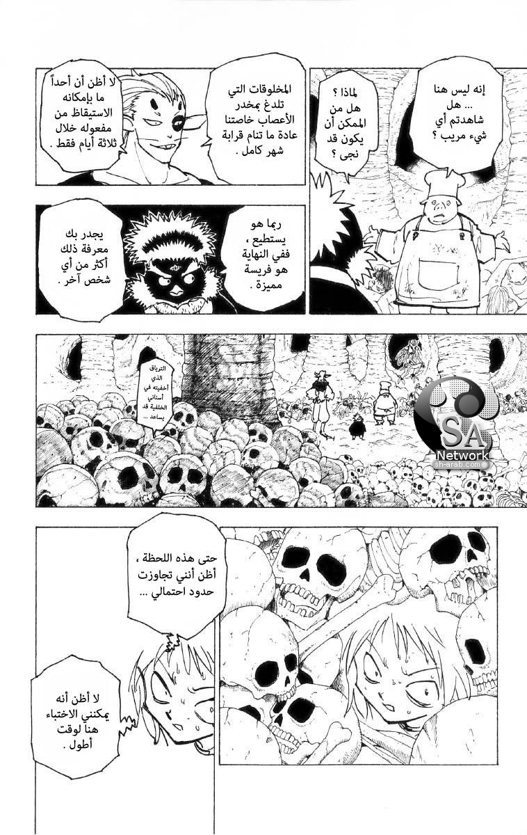 Hunter x Hunter: Chapter 197 - Page 3