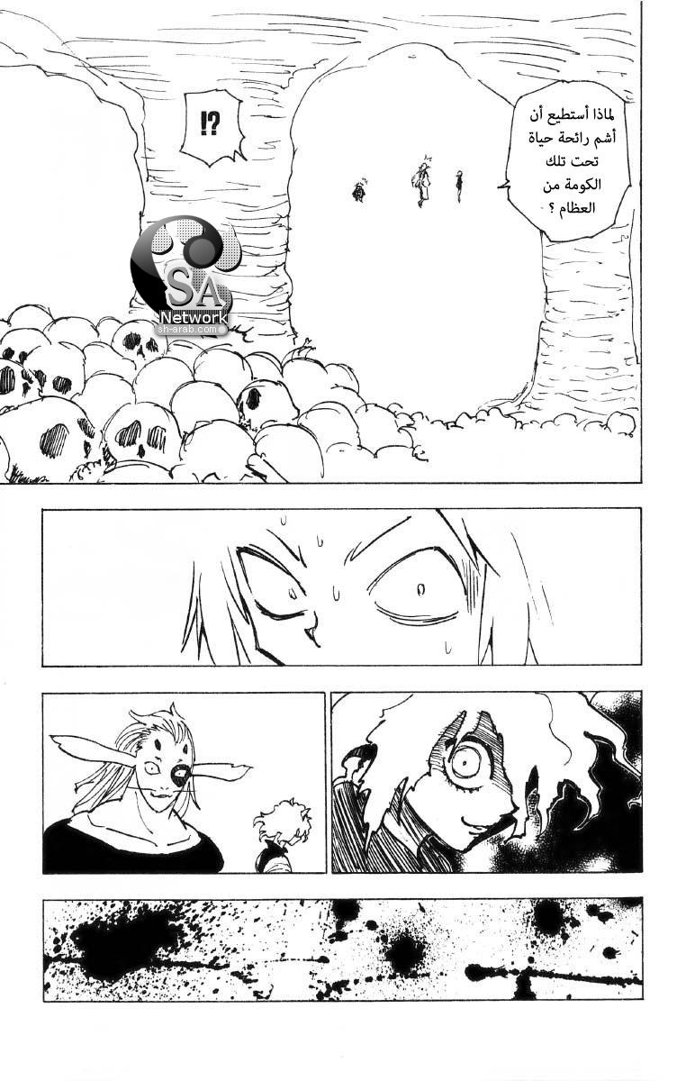 Hunter x Hunter: Chapter 197 - Page 12