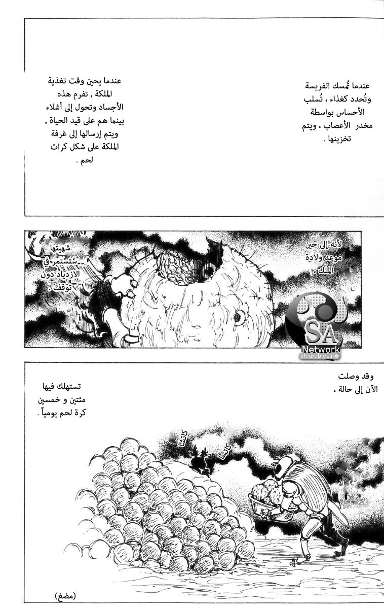 Hunter x Hunter: Chapter 197 - Page 13