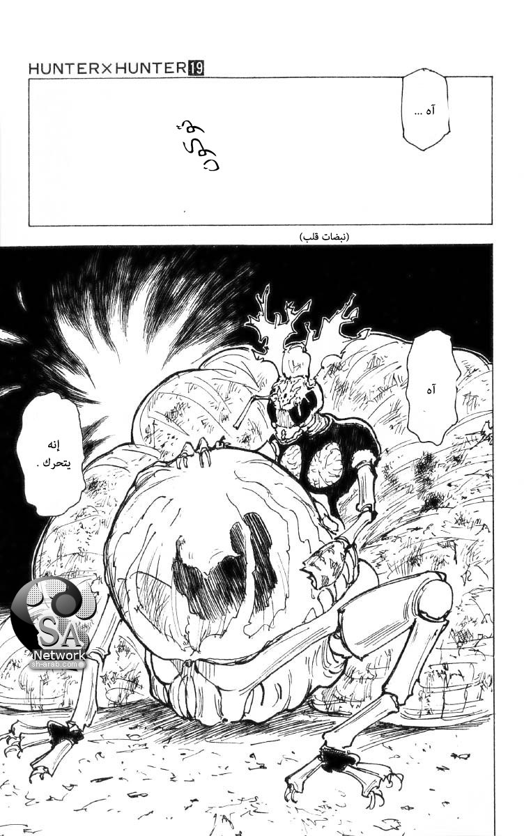 Hunter x Hunter: Chapter 197 - Page 14