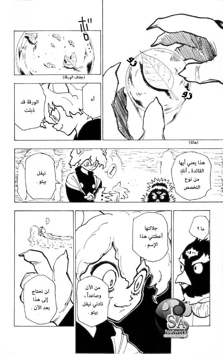 Hunter x Hunter: Chapter 198 - Page 5