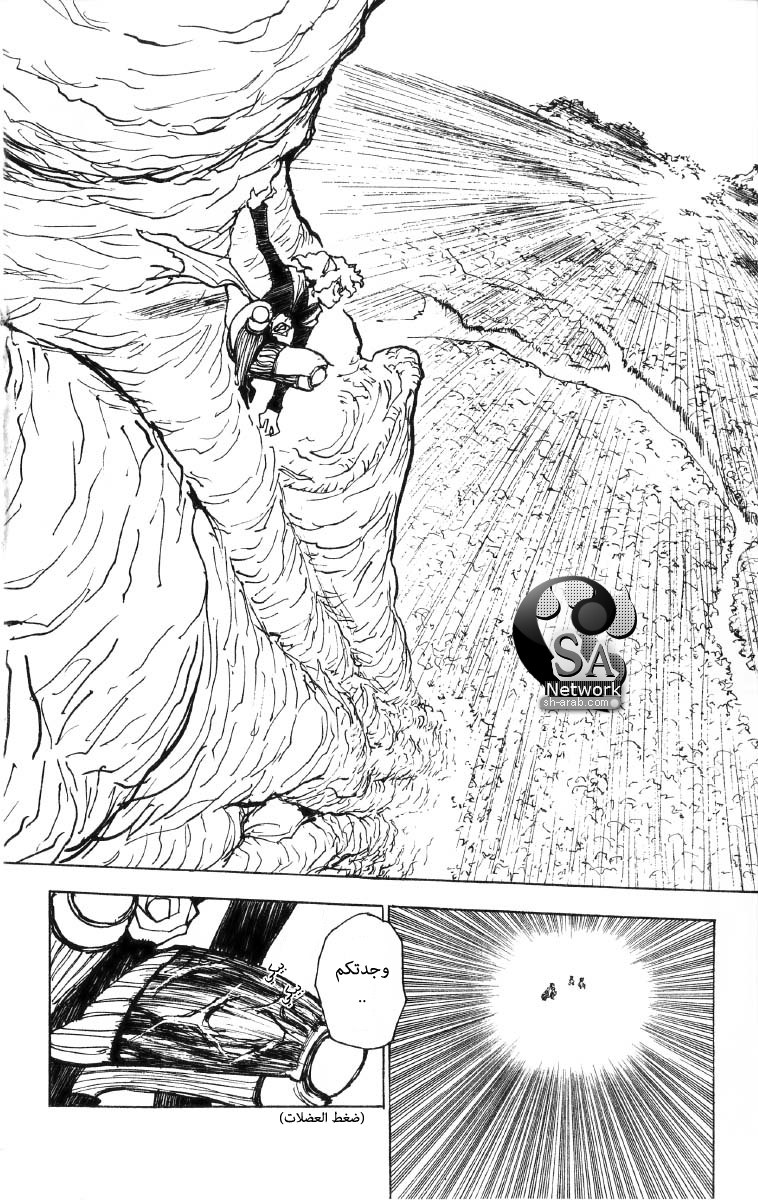Hunter x Hunter: Chapter 198 - Page 9
