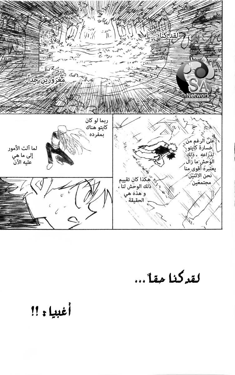 Hunter x Hunter: Chapter 198 - Page 16