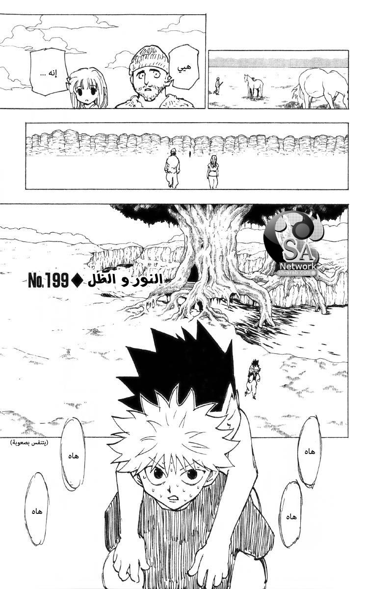 Hunter x Hunter: Chapter 199 - Page 2