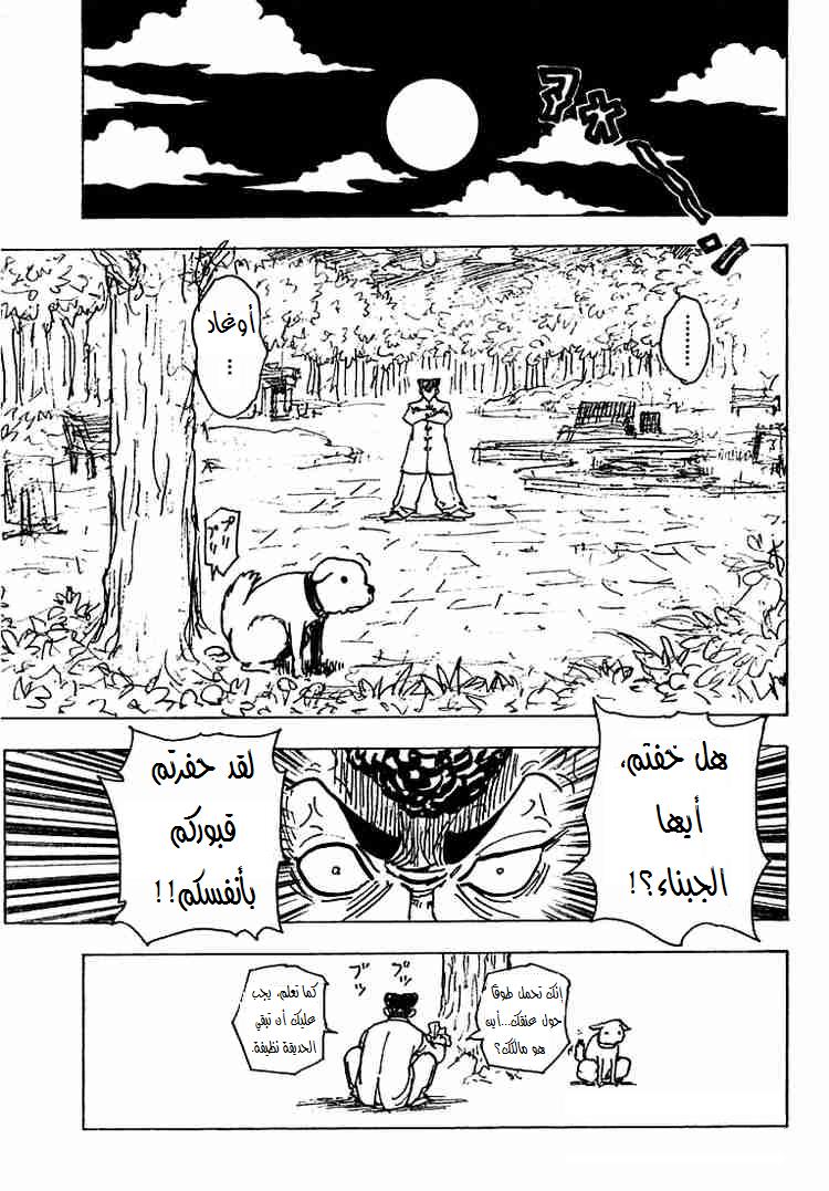 Hunter x Hunter: Chapter 201 - Page 11