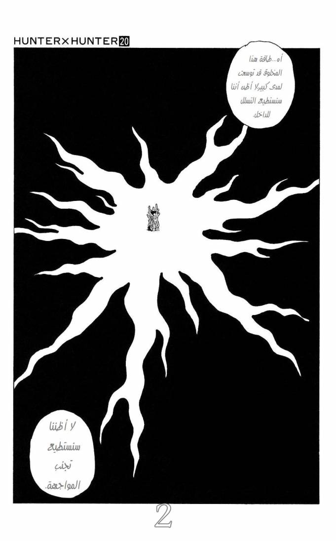 Hunter x Hunter: Chapter 202 - Page 3