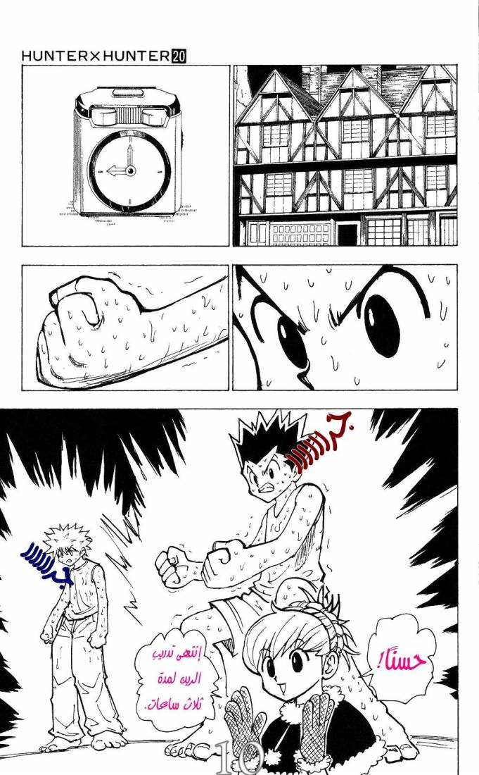 Hunter x Hunter: Chapter 202 - Page 11