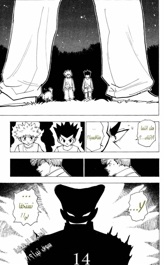 Hunter x Hunter: Chapter 202 - Page 15