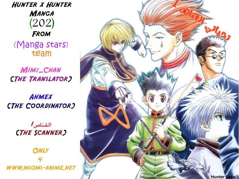 Hunter x Hunter: Chapter 202 - Page 16