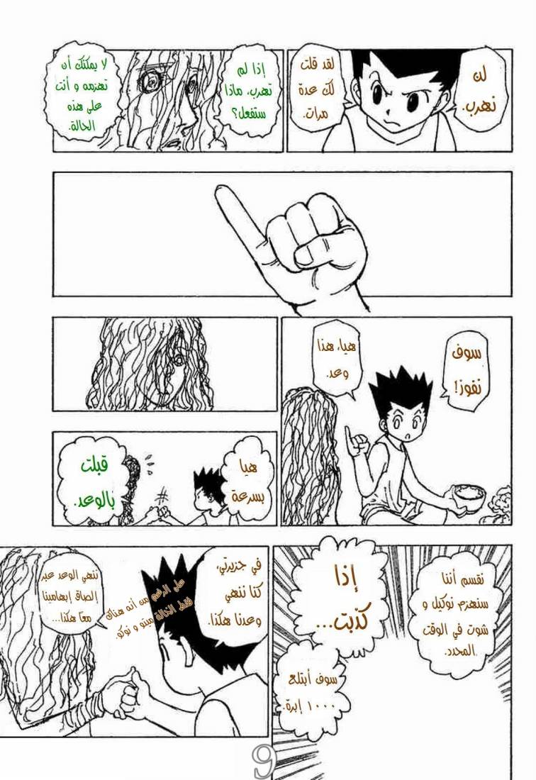 Hunter x Hunter: Chapter 205 - Page 10