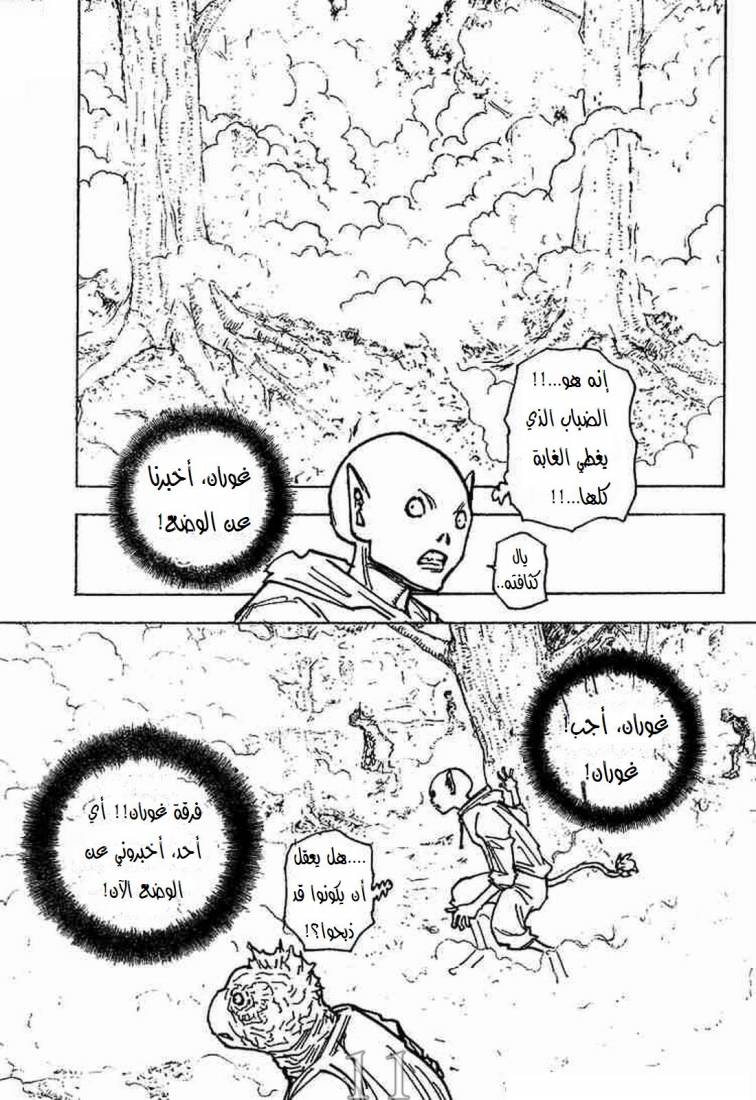 Hunter x Hunter: Chapter 205 - Page 12