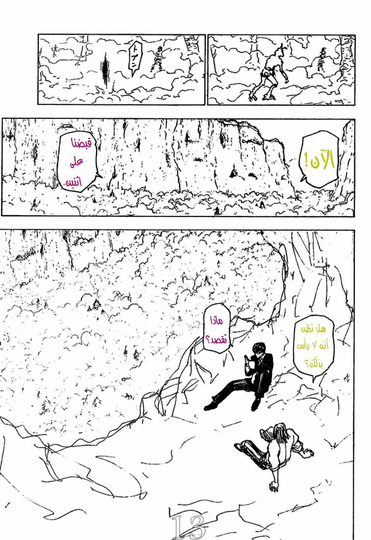 Hunter x Hunter: Chapter 205 - Page 14