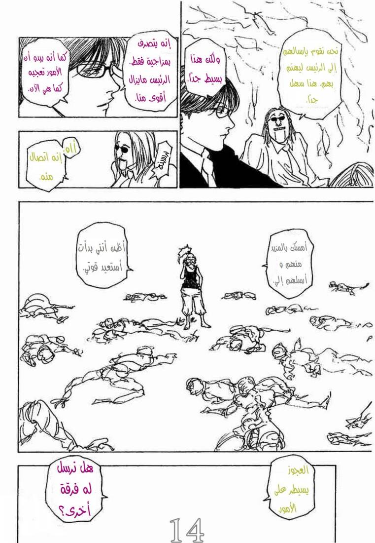 Hunter x Hunter: Chapter 205 - Page 15