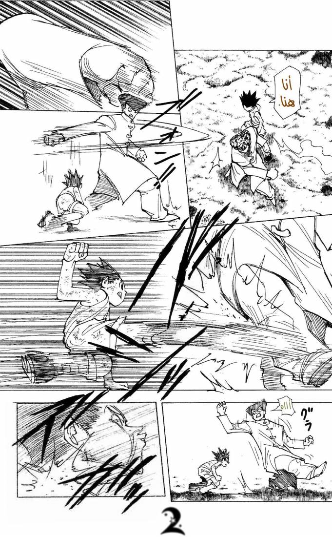 Hunter x Hunter: Chapter 208 - Page 2