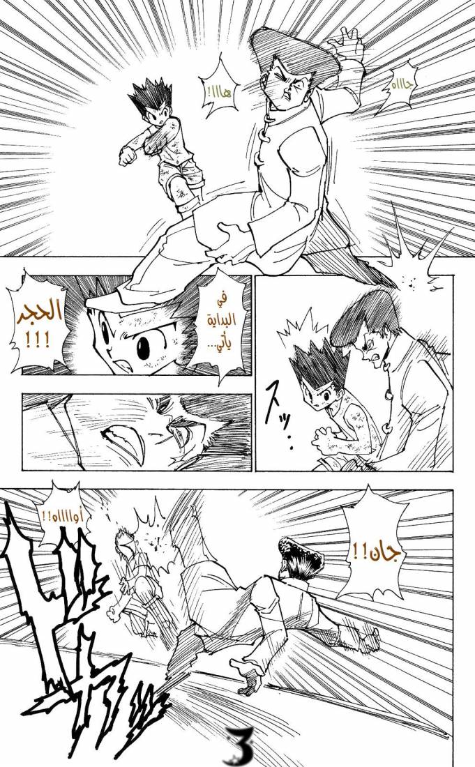 Hunter x Hunter: Chapter 208 - Page 3