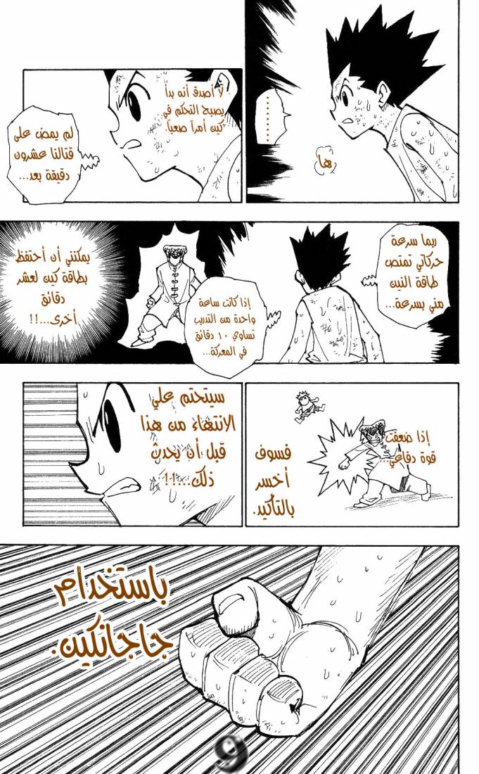 Hunter x Hunter: Chapter 208 - Page 9