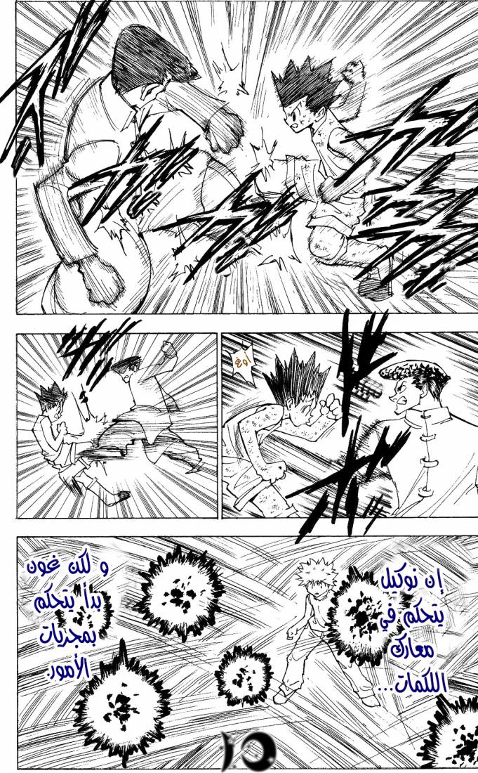 Hunter x Hunter: Chapter 208 - Page 10