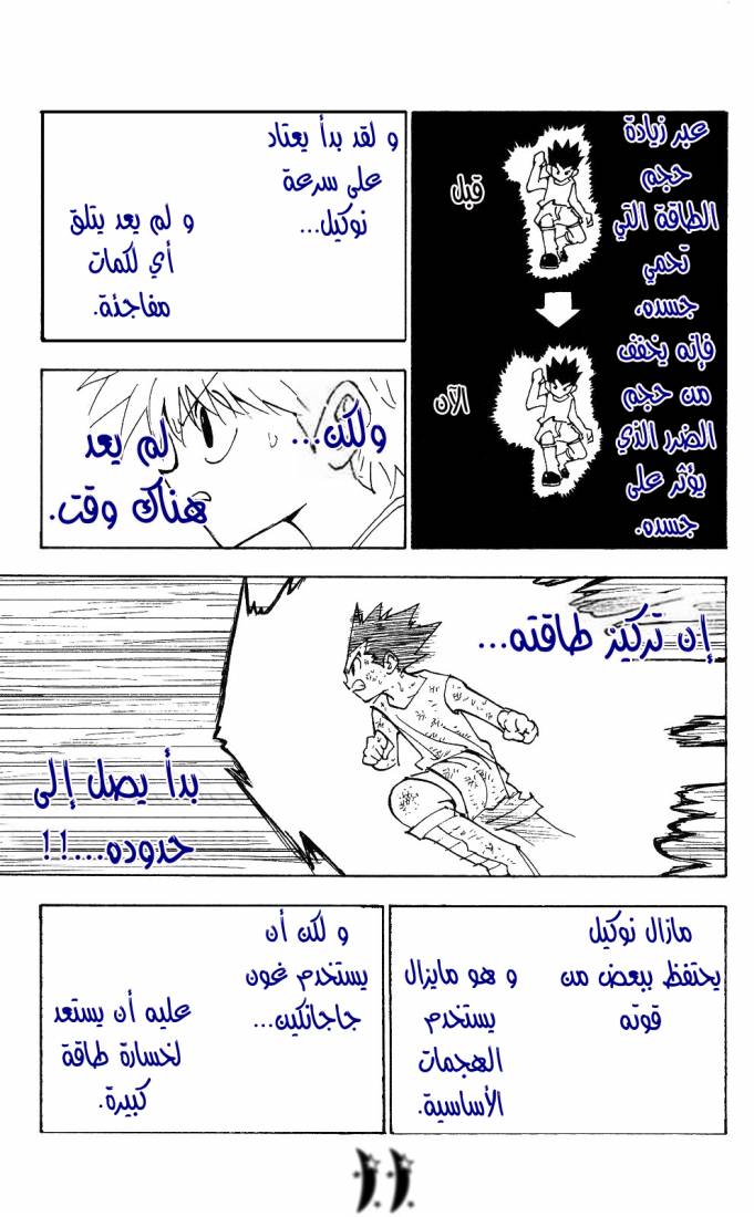 Hunter x Hunter: Chapter 208 - Page 11