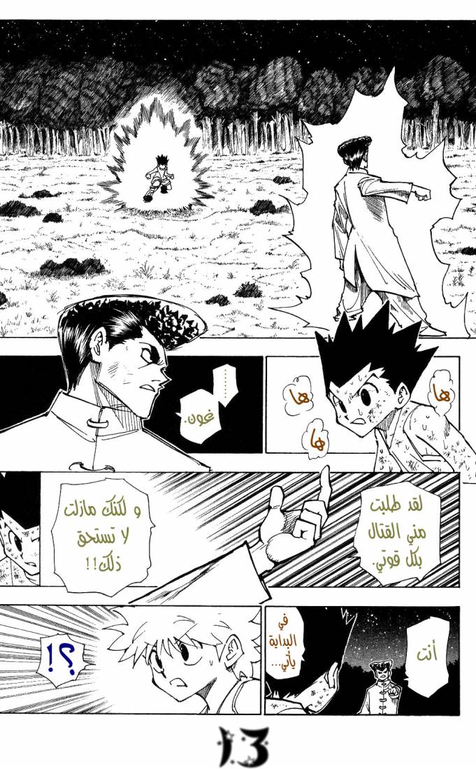 Hunter x Hunter: Chapter 208 - Page 13