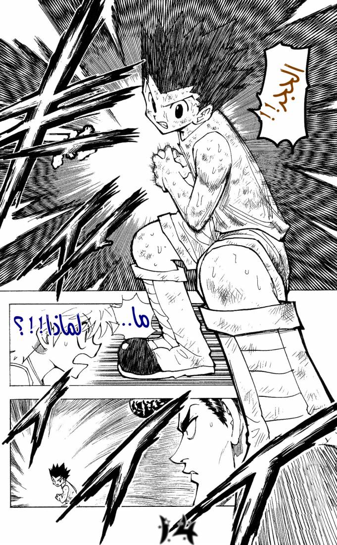 Hunter x Hunter: Chapter 208 - Page 14