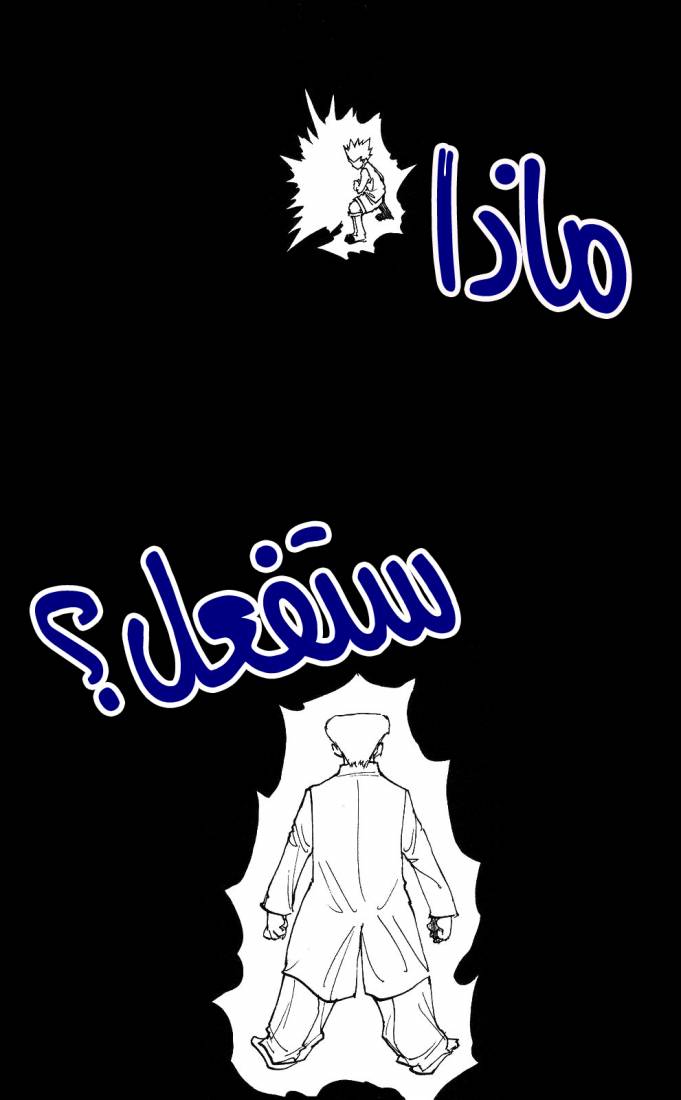 Hunter x Hunter: Chapter 208 - Page 15