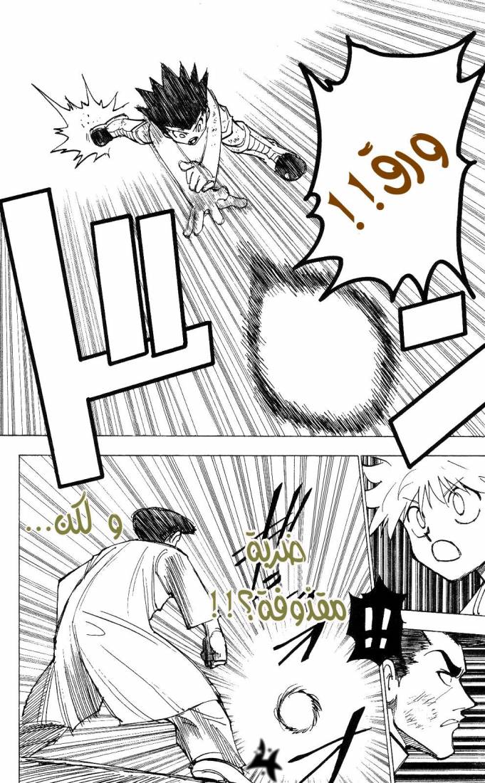 Hunter x Hunter: Chapter 209 - Page 3