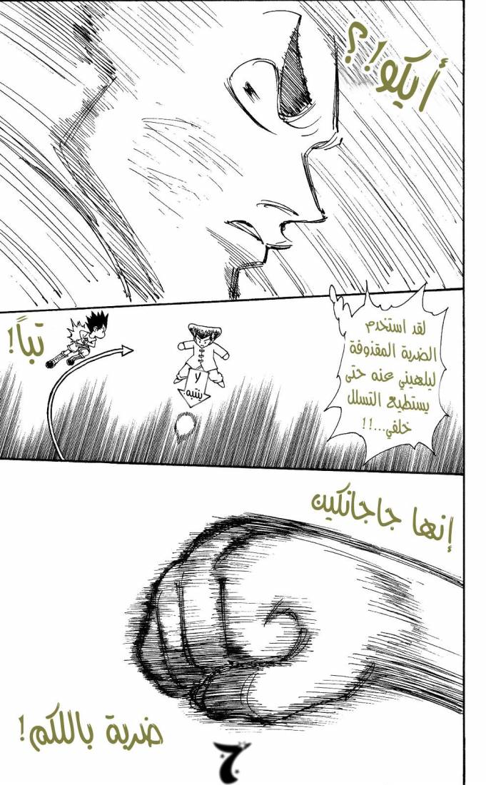 Hunter x Hunter: Chapter 209 - Page 6