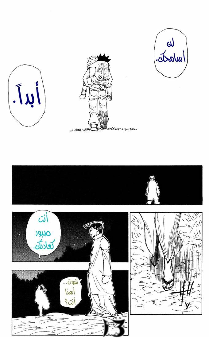 Hunter x Hunter: Chapter 209 - Page 11