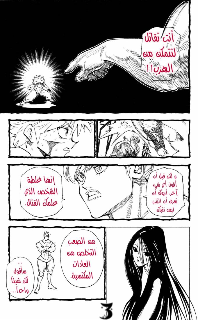 Hunter x Hunter: Chapter 210 - Page 3